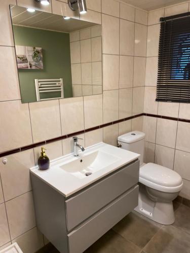 a bathroom with a sink and a toilet and a mirror at Chez Nanou in Marmagne