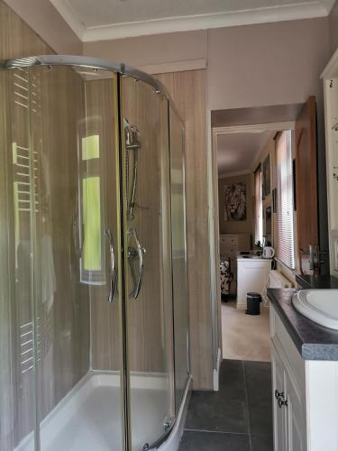 a bathroom with a shower and a sink at Arrochoile in Balmaha