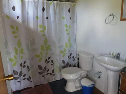 a bathroom with a toilet and a sink at Hare Sunset Rapa Nui in Hanga Roa