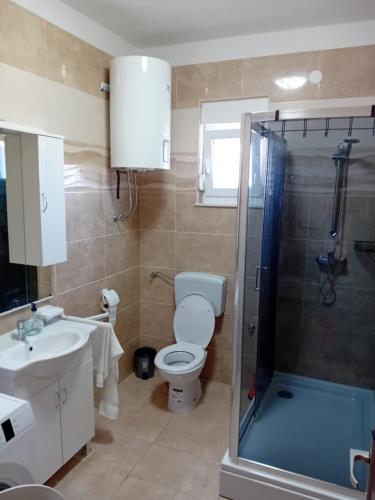 a bathroom with a toilet and a sink and a shower at Dume in Povljana