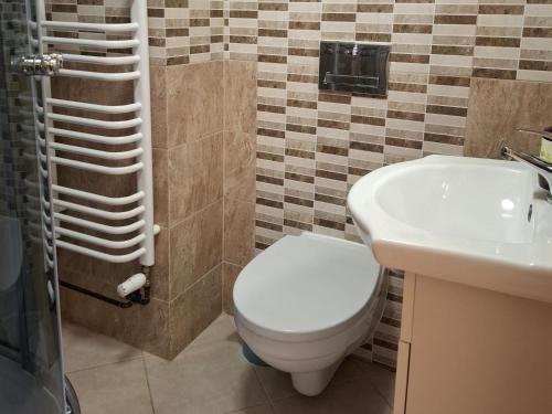 a bathroom with a toilet and a sink at Pokoje u Wojciecha in Tylmanowa