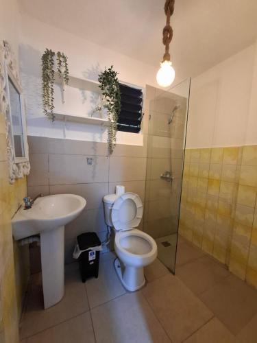 a bathroom with a toilet and a sink and a shower at Hermoso Loft in Santo Domingo