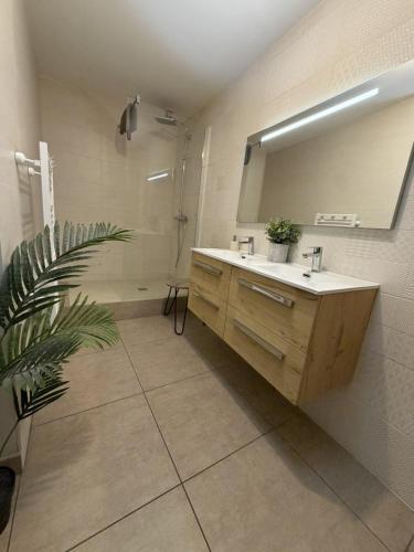 a bathroom with a sink and a mirror at Les remparts in Chabeuil