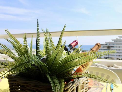 Appartement 2 Pièces avec Climatisation, 4 Couchages, à 100m de la Plage - FR-1-252A-33