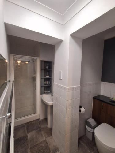a bathroom with a toilet and a sink and a shower at Newton House in Torquay