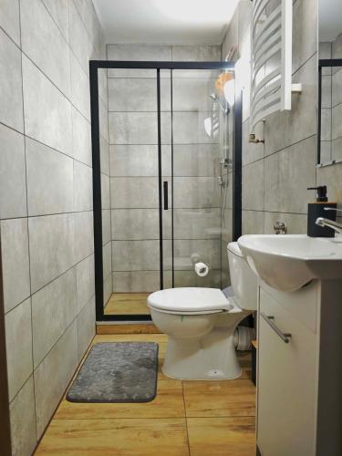 a bathroom with a toilet and a sink and a shower at Apartament Kris in Wałbrzych