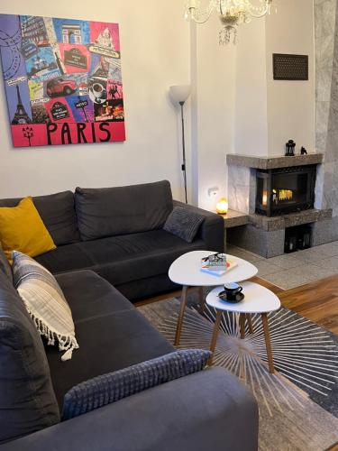 Sweet Home Cieplice Mountain view apartament by the main park and thermal pools