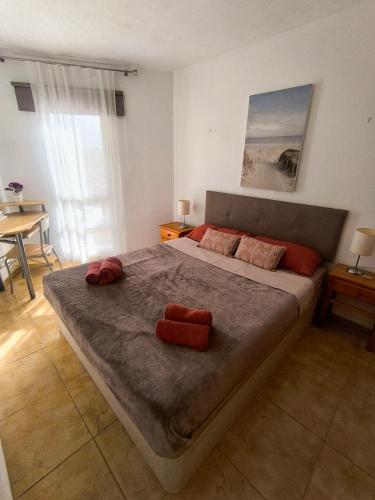 Pool view in Las Verónicas