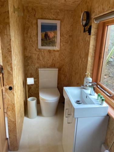 a bathroom with a toilet and a sink at Bijou Cabin in Ludlow