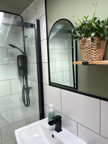 a bathroom with a sink and a mirror and a phone at The Snug, Minehead in Minehead