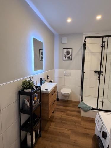 a bathroom with a sink and a toilet and a shower at an der Elbe in Freiburg - Elbe