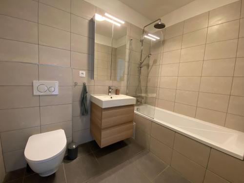 a bathroom with a toilet and a sink and a tub at Apartment Nina in Hrubá Borša