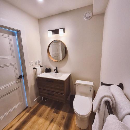 a bathroom with a toilet and a sink and a mirror at Modern Nordic Cabin 2 Hot Tub & Views in East LaHave