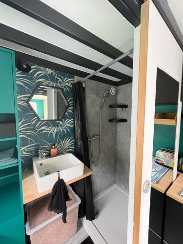 a bathroom with a sink and a shower at Le repère d Howardries in Brunehaut