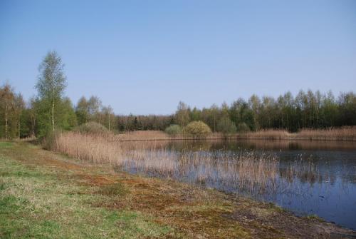 a body of water with trees in the background at Vledderstee in Vledderveen