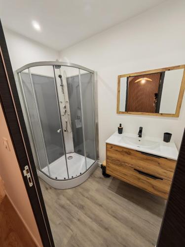 a bathroom with a shower and a sink at L'immeuble du Monde Rose - Appartements neufs climatisés - classés 3 étoiles - Vic le Comte - Auvergne in Vic-le-Comte