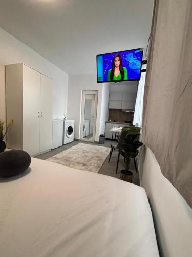 a room with a bed and a flat screen tv on the wall at EriSSSo House Murfatlar in Murfatlar