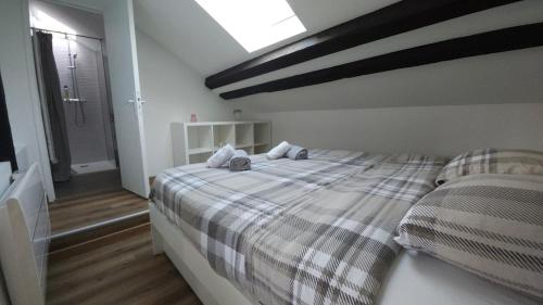 a bedroom with two beds and a skylight at Le Perchoir Charm and light in Pau