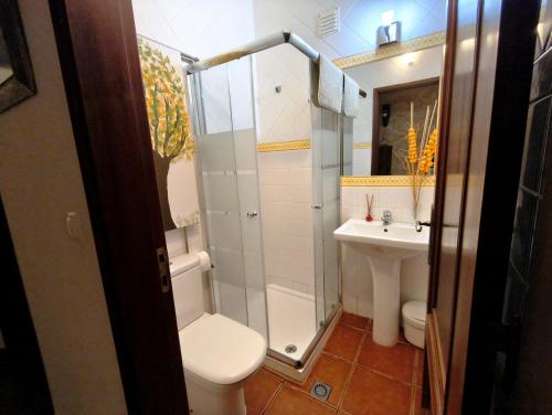 a bathroom with a shower and a toilet and a sink at Casa D Dinis by NaturAlegre in Alegrete