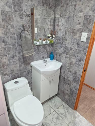 a bathroom with a toilet and a sink at Cabaña el Encanto in Villarrica