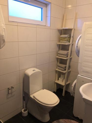 a bathroom with a toilet and a sink and a window at Guest house Norrköping in Norrköping