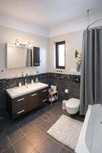 a bathroom with a sink and a toilet at Villa Anemos in Nafplio