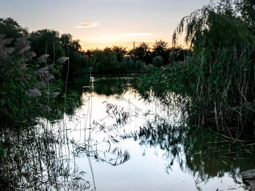 a view of a river at sunset at No 6 Lake View Lodges - 28283 in Old Leake