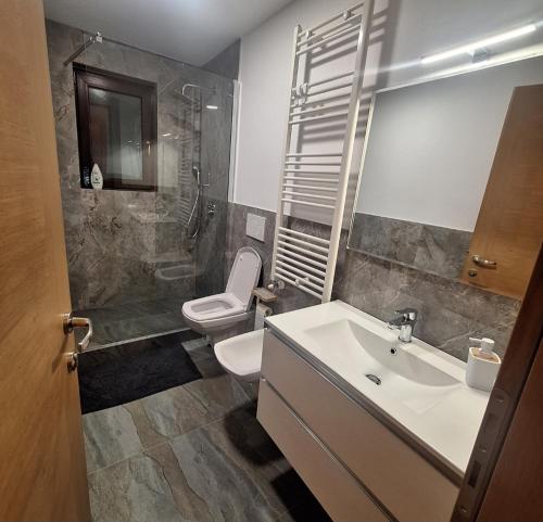 a bathroom with a toilet and a sink at Cabana Edav in Ţibău