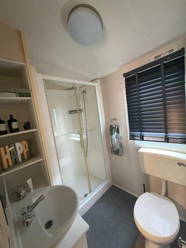 a bathroom with a shower and a sink and a toilet at Miranda and Pauls Caravan in Leysdown-on-Sea