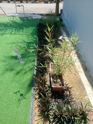 a garden with plants on the side of a building at Santai DPermai Homestay in Selama