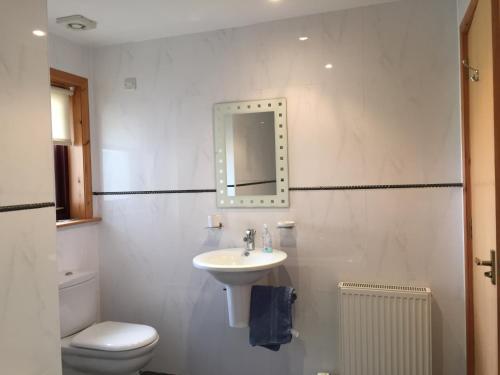 a bathroom with a sink and a toilet and a mirror at Holiday Home Croft46 in Clachan
