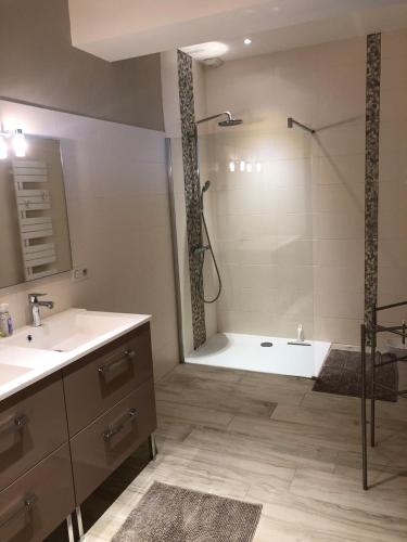 a bathroom with a shower and a bath tub at Maison village entre pau et lourdes in Boeil-Bezing