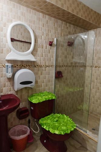 a bathroom with a shower with green plants in it at Hospedaje Tikari in Chincheros