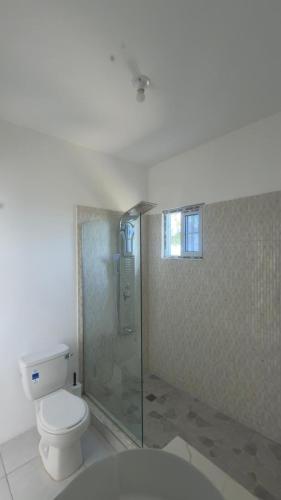 a bathroom with a toilet and a glass shower at Peaceful Palms Montego Bay in Montego Bay