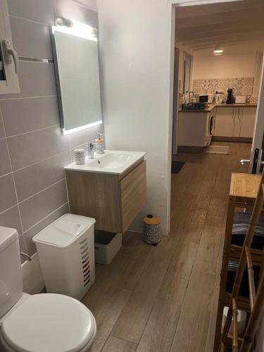 a bathroom with a white toilet and a sink at Logement cosy avec piscine proche de l'aéroport in Ducos
