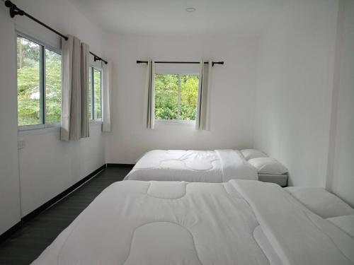 two beds in a white room with two windows at ไร่เติมรัก - บ้านภูตระการ in Ban Khlong Kum