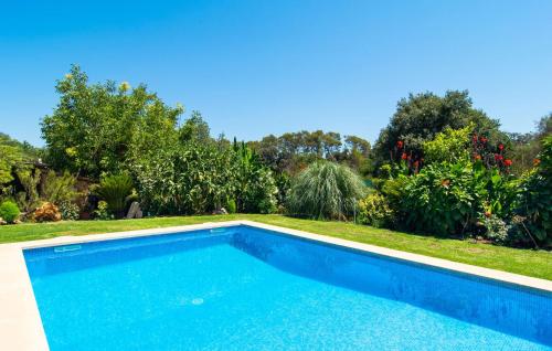 a blue swimming pool in a yard with trees at Can Tomeu De Llubi in Llubí