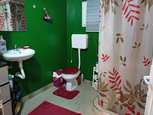 a green bathroom with a toilet and a sink at Krčma u Planini in Bojnik