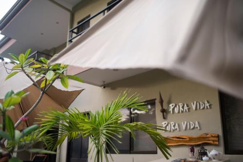 a building with a white umbrella and some plants at Tamarindo Sunshine in Tamarindo