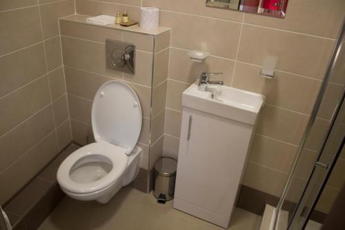 a bathroom with a toilet and a sink at Beaumont House in Beaumont