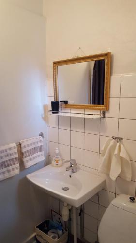 a bathroom with a sink and a mirror and a toilet at Østergade 46 in Tønder