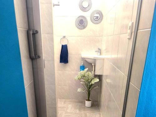 a bathroom with a sink and a shower with a plant at Suite moderna para 2, a 5 min del Centro in Ciudad Victoria