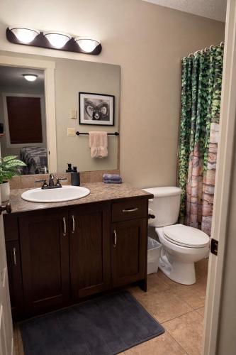 a bathroom with a sink and a toilet at Summit View Alpine Retreat in Radium Hot Springs