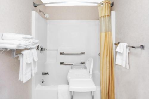 a bathroom with a toilet and a shower at Days Inn by Wyndham Morristown in Morristown