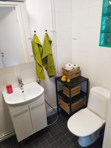 a bathroom with a white toilet and a sink at Villa Alice room 2 in Tampere