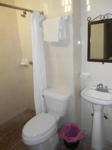 a white bathroom with a toilet and a sink at Rincón del Ángel in Villahermosa