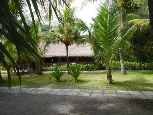 Сад в Sea World Club Beach Resort & Dive Center, RESORT THAT SUPPORTS THE POOR