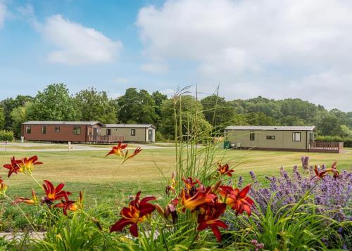 a field with flowers and buildings in the background at Rockbridge Country Park in Presteigne