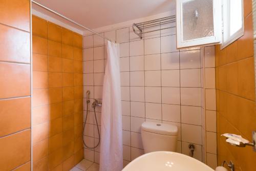 a bathroom with a toilet and a shower at Kamari Blue Boutique Hotel in Kamari