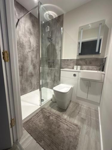 a bathroom with a toilet and a shower at Brada View - Bamburgh, Northumberland in Bamburgh